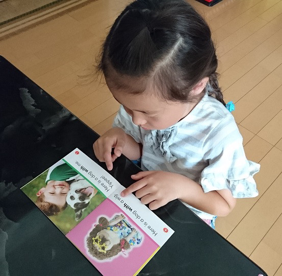 Nonfiction Sight Word Readers (ノンフィクション・サイト・ワード